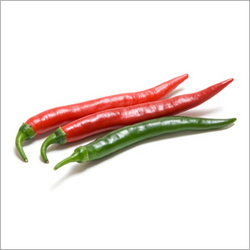 250x250 Red Chilli In Dindigul