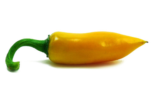 500x333 World's Hottest Chilli Seeds, Seriously Hot Varieties