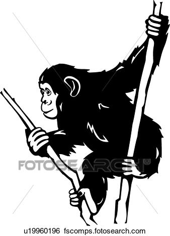 338x470 Clip Art Of Chimpanzee U19960196