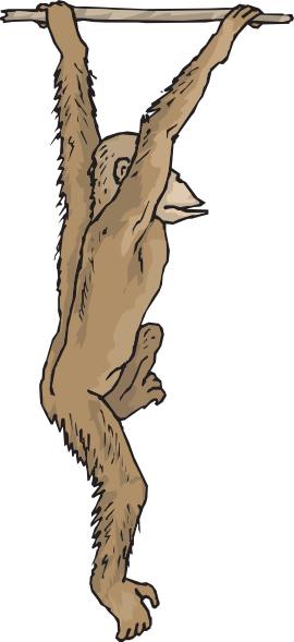 270x589 Hanging Chimp Clip Art