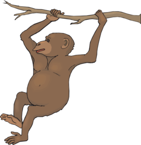 291x299 Swinging Chimp Clip Art