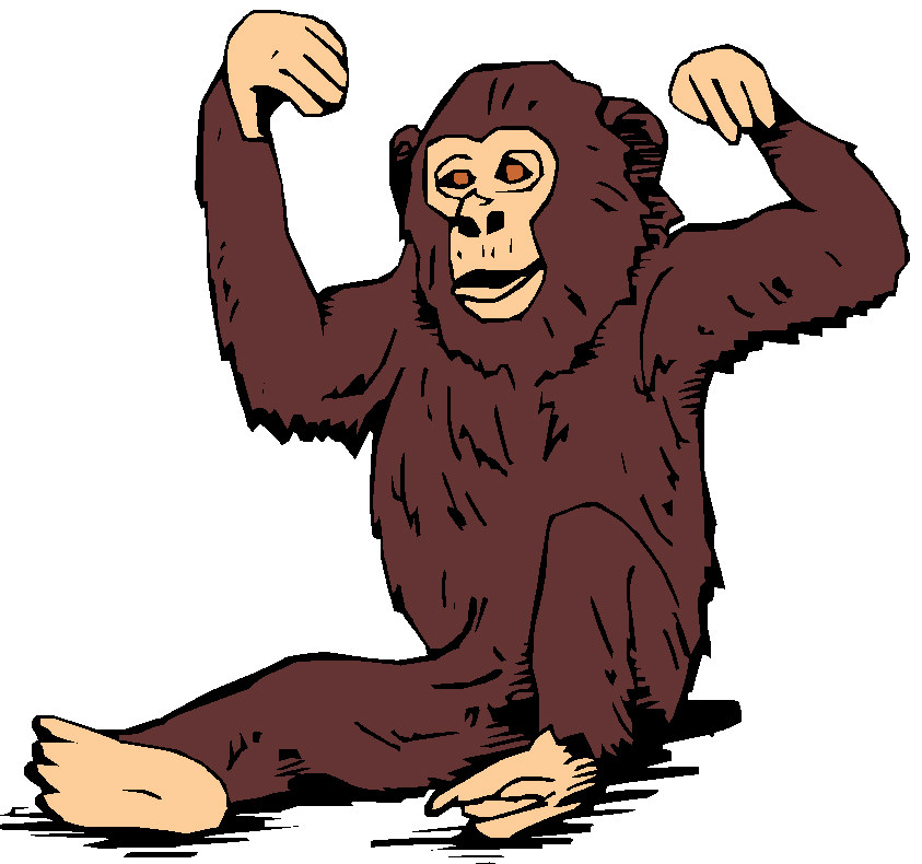 843x790 Top 98 Chimpanzee Clipart