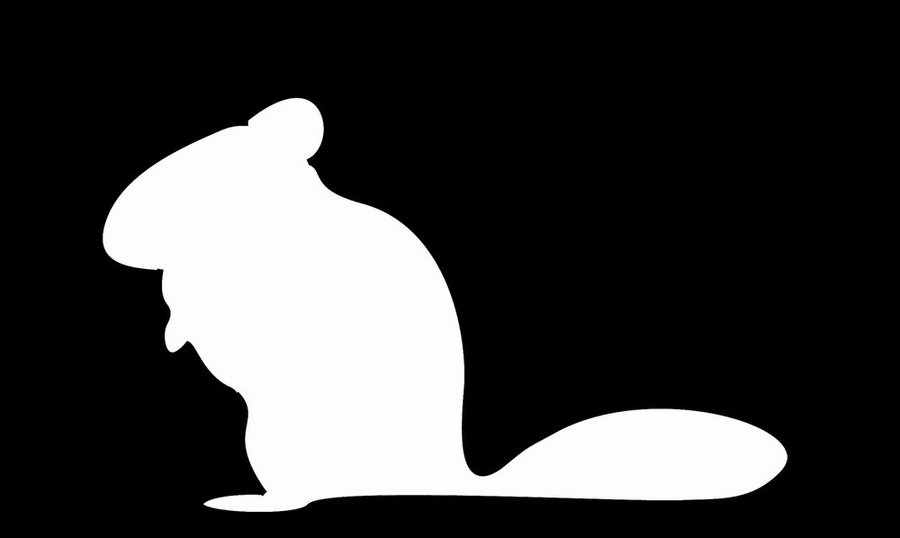 1000x598 Chinchilla Silhouette Decal