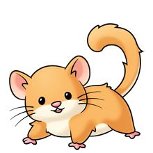 220x220 Golden Foxee Fluffs Animals Foxes And Clip Art