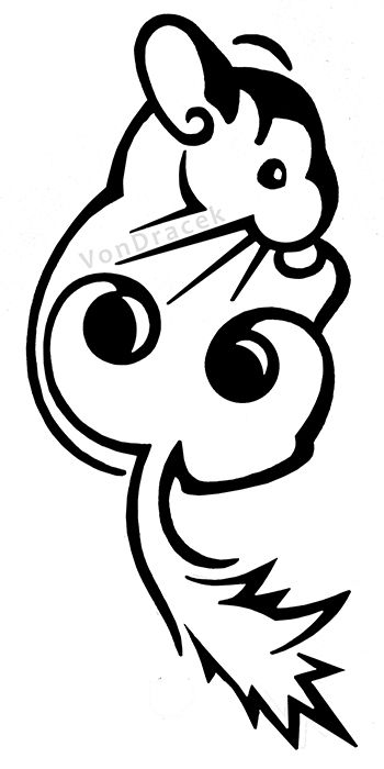 350x700 614 Best Chinchillas Images Chinchillas, Draw And Love