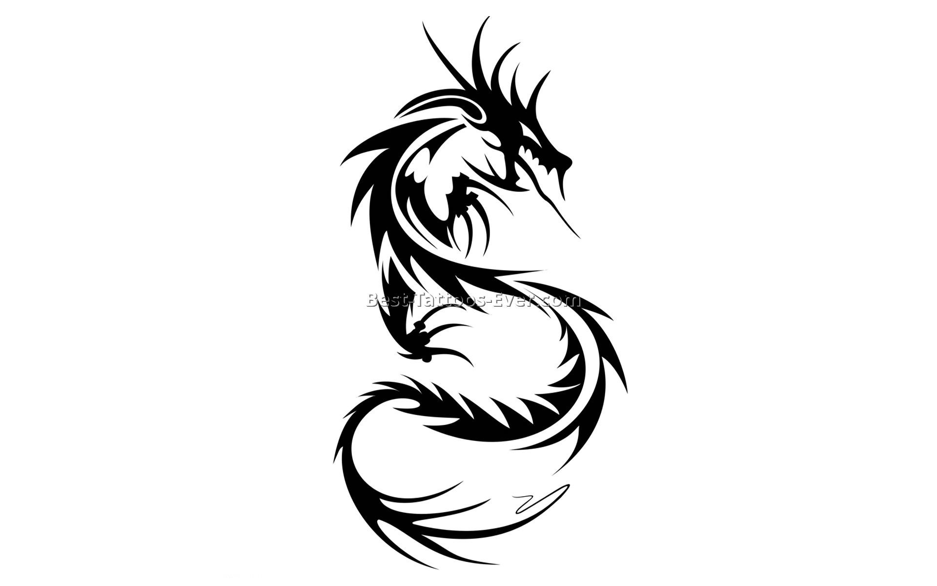 1920x1200 Collection Of Chinese Dragon Tattoo