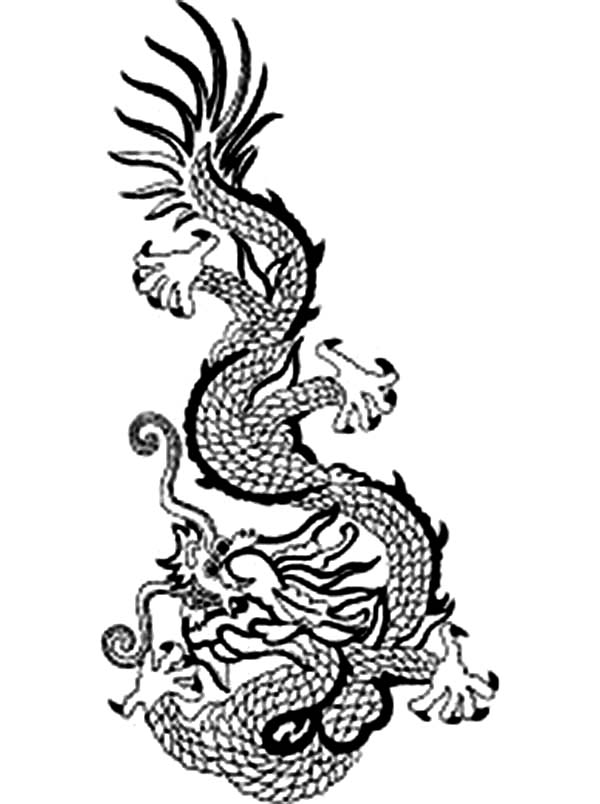 600x804 Drawn Chinese Dragon Symbol