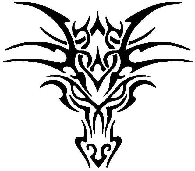 640x561 Pictures Of Dragons Faces
