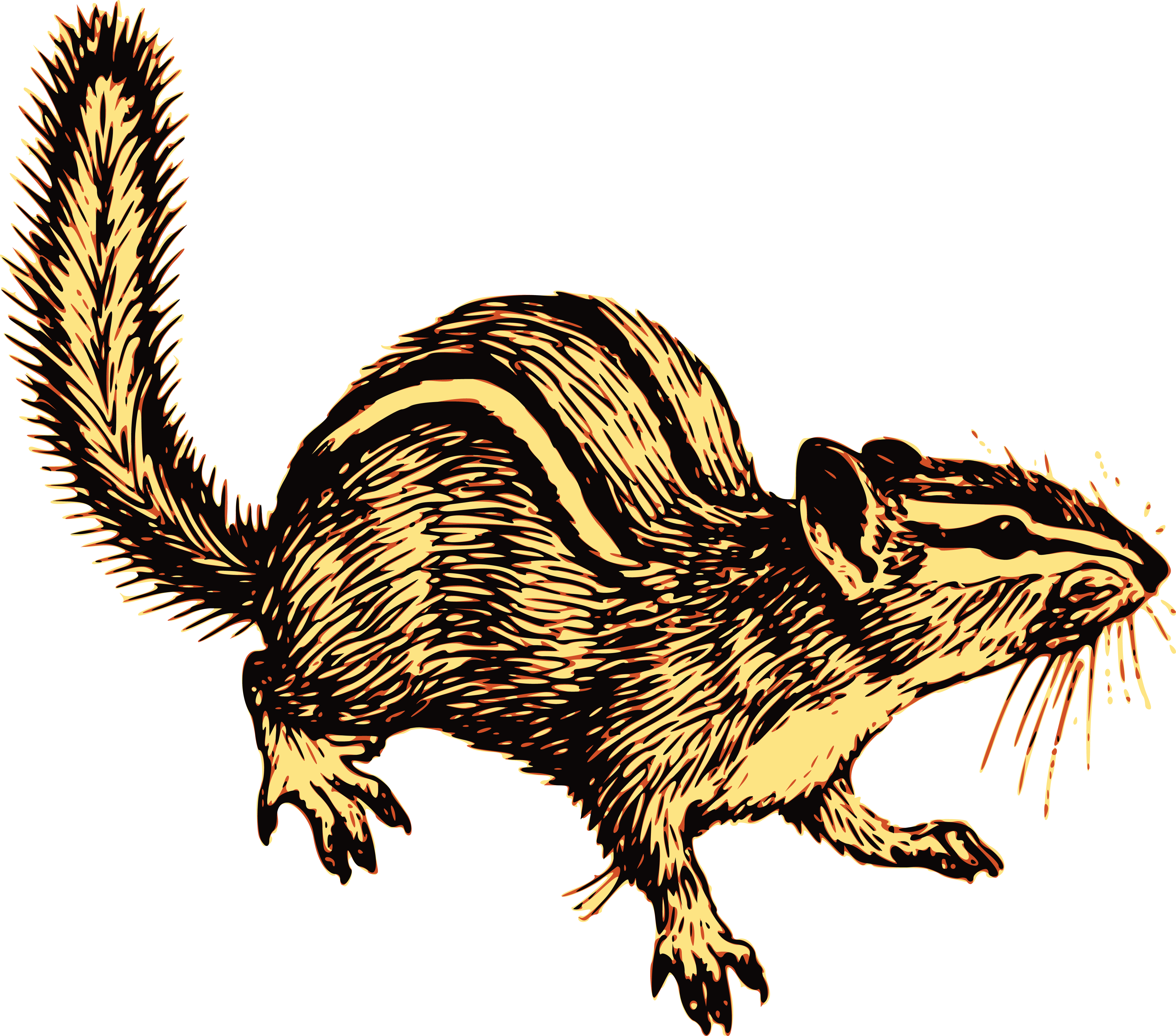 Chipmunk Clipart | Free download on ClipArtMag