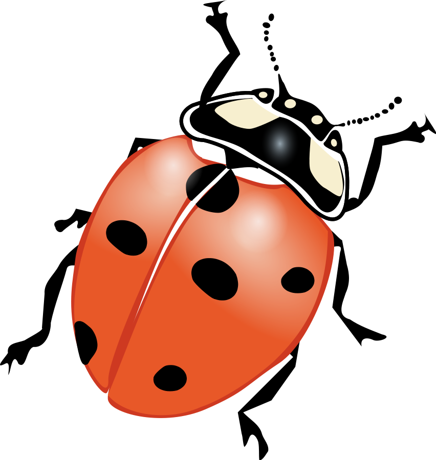 852x900 Lightning Bug Clip Art