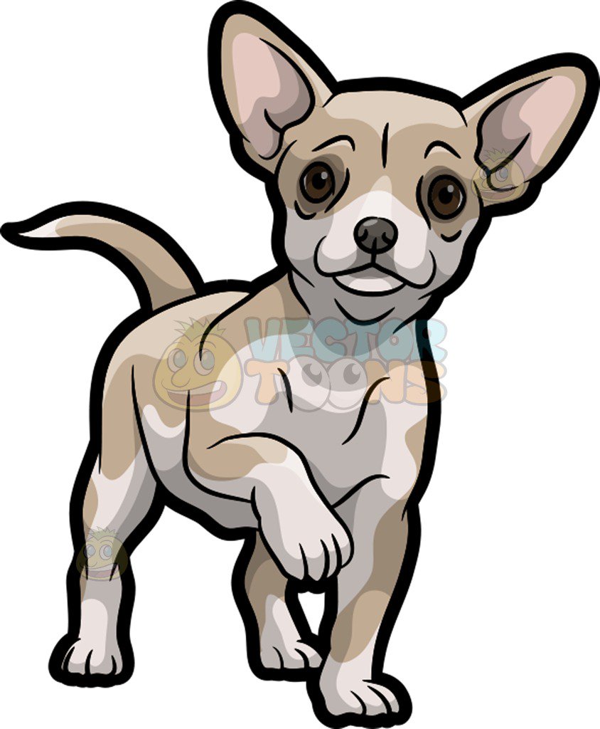 844x1024 A Cute And Adorable Chihuahua Cartoon Clipart