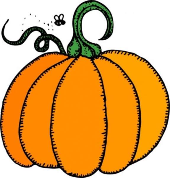 575x600 Unsweetened Low Fat Pumpkin Oatmeal Chocolate Chip Cookies