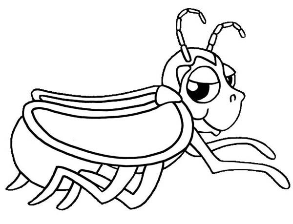 600x459 Tennessee Firefly Coloring Page Color Luna