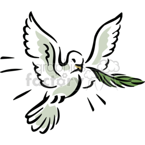 300x300 Royalty Free White Dove Flying With A Branch In Its Mouth 3 164981