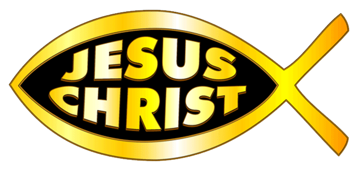 735x344 Welcome Bcfc