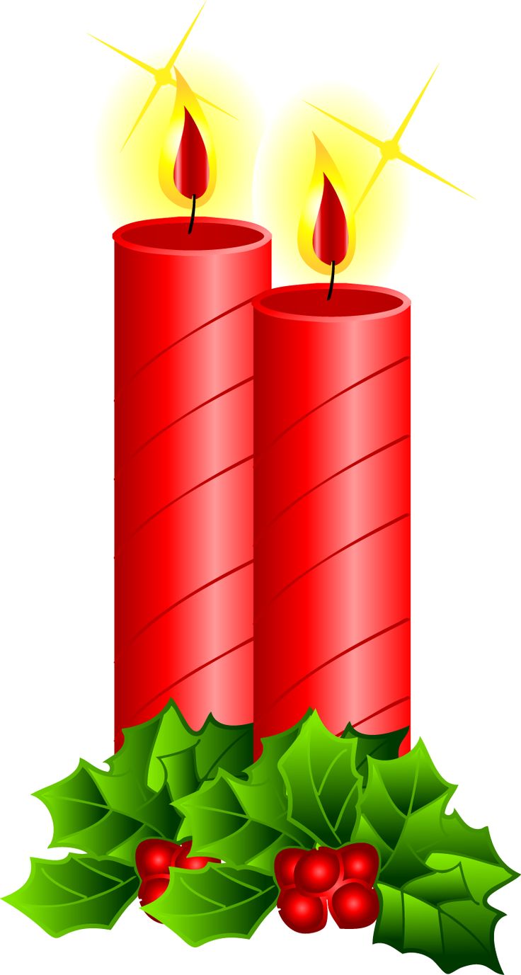 736x1377 71 Best Illustrations