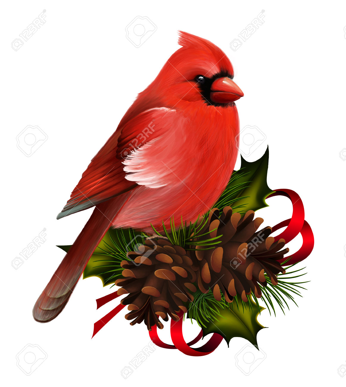 1163x1300 Christmas Clipart Cardinal