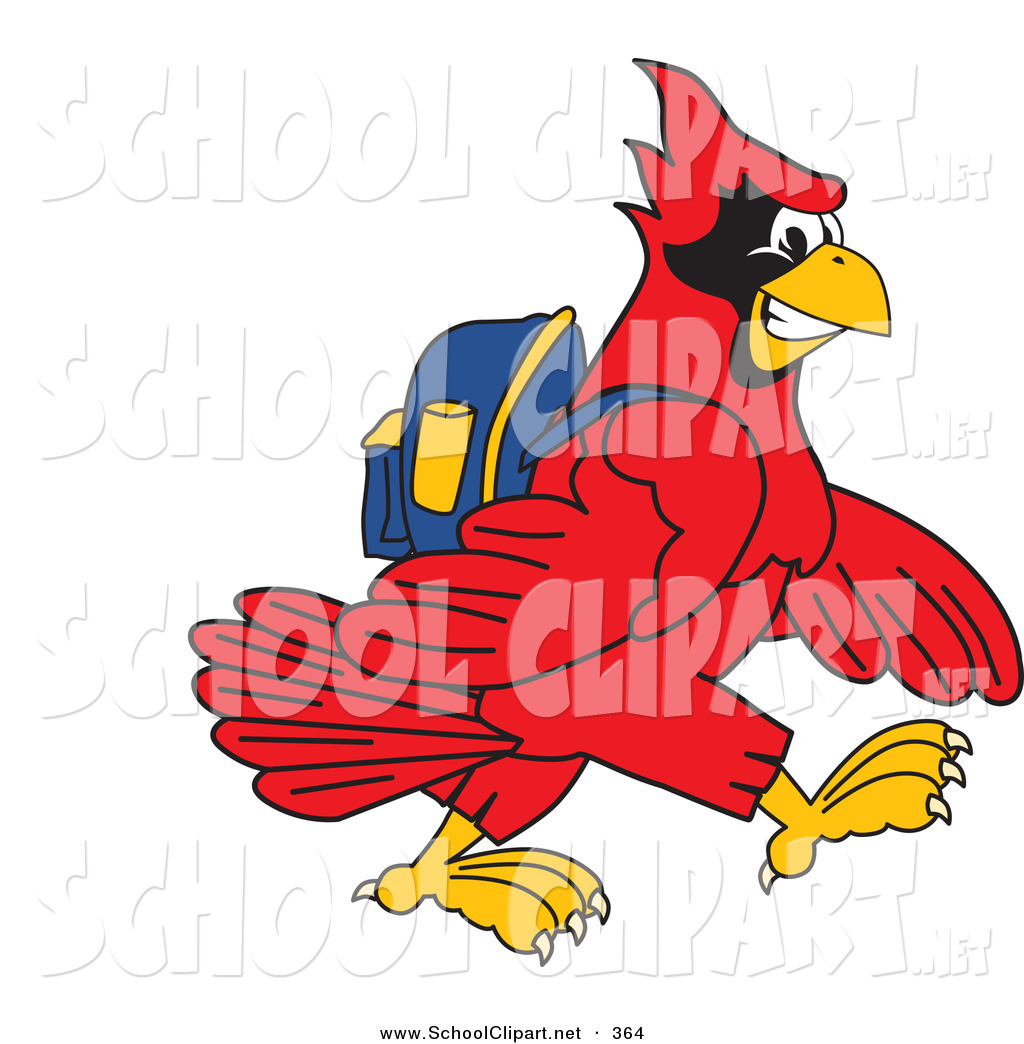 1024x1044 Clip Art Of A Red Cardinal Character School Mascot Walking