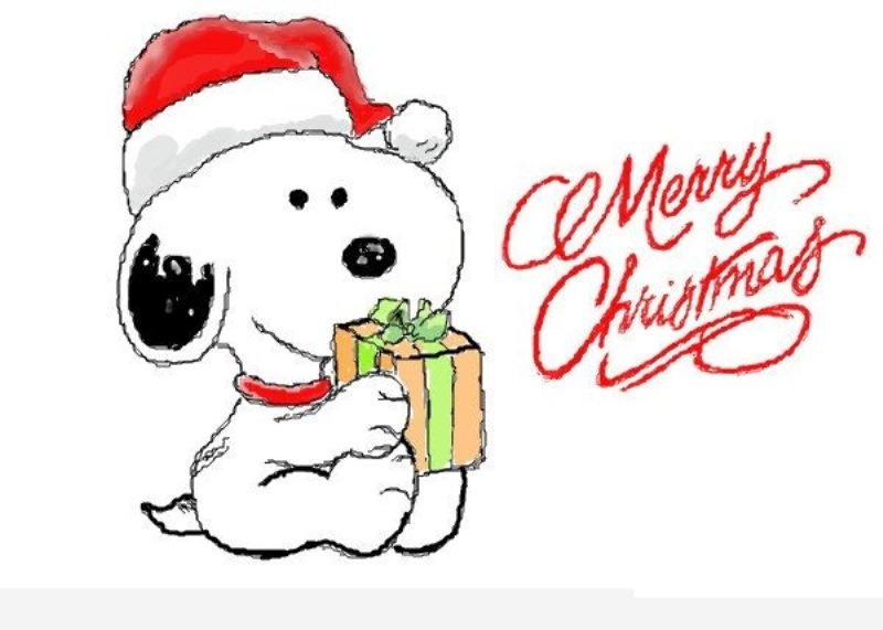 800x571 Merry Christmas Cartoon With Animation Pictures