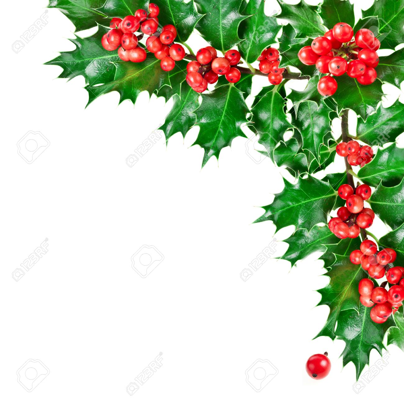 1300x1300 Decorative Corner Border With Christmas Holly Plant Isolated