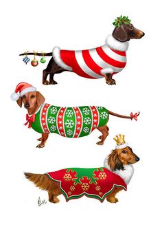 236x330 Dachshund Clipart Christmas