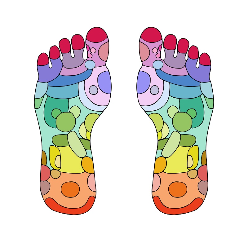 800x800 Feet Clipart Bottom Foot