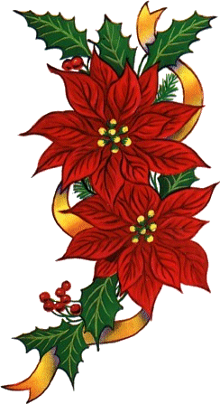 244x447 Christmas Flower Clip Art