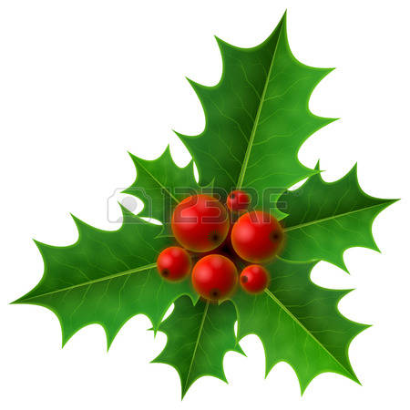 Christmas Flowers Clipart 