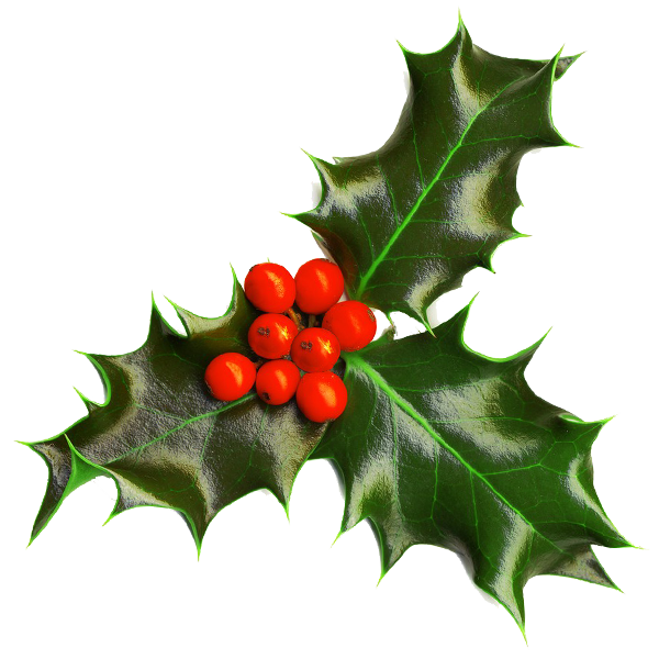 600x600 Graphics For Christmas Holly Graphics