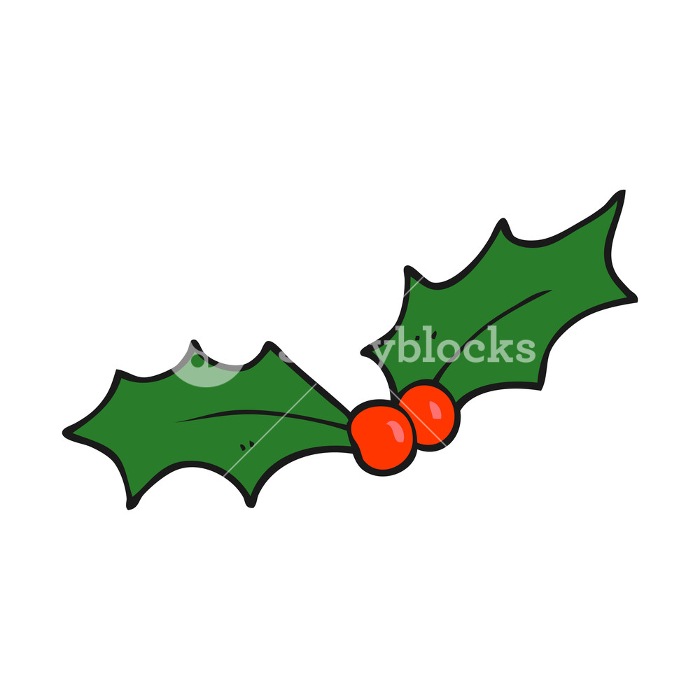 1000x1000 Freehand Drawn Cartoon Christmas Holly Royalty Free Stock Image