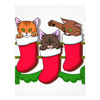 324x324 Kitten Flyers Amp Programs Zazzle