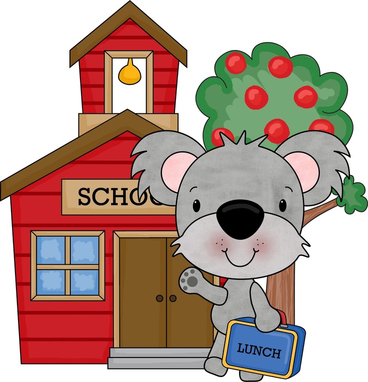 736x765 69 Best Koala Images Koalas, Draw And Celebrations