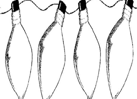 440x320 Christmas Lights Christmas Light Bulb Clipart Happy Holidays Image