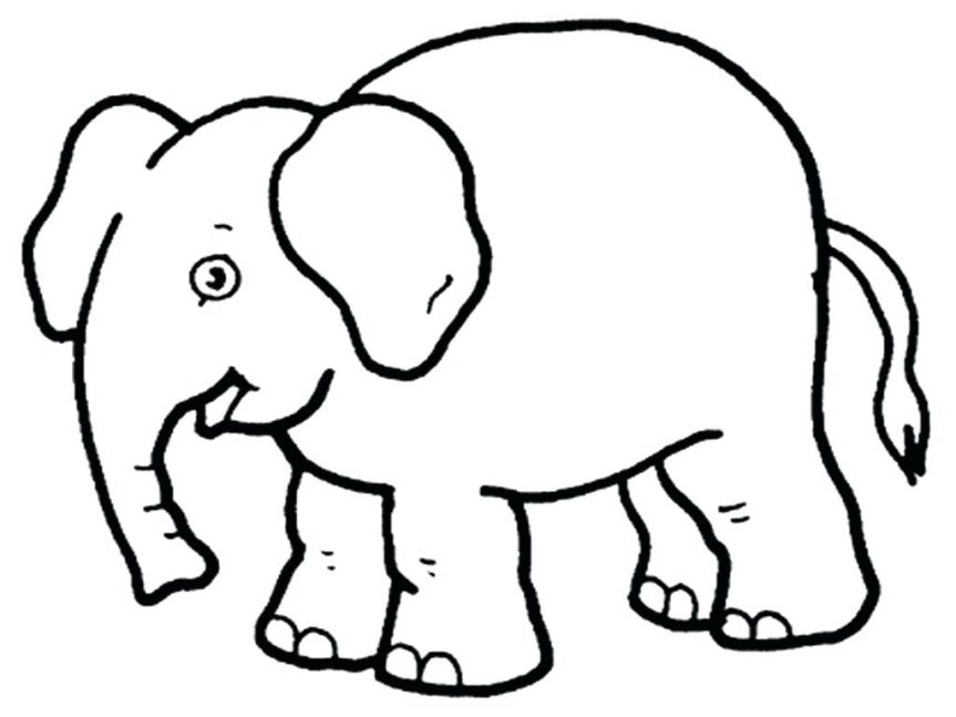 863x647 Easy Zoo Animal Coloring Pages New Animals Christmas Lights