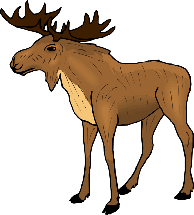 679x750 Moose Clipart Cartoon Free Images