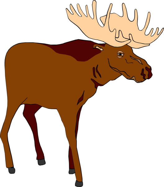 528x600 Christmas Moose Clipart 11 Nice Clip Art