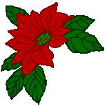 155x154 Free Christmas Poinsettia Clipart