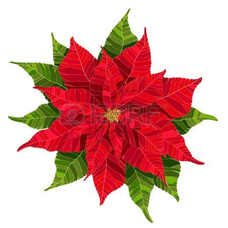 450x450 Poinsettia Clipart Red Christmas