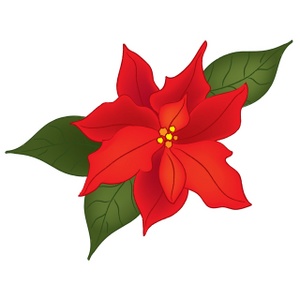 300x300 Poinsettia Clipart Image
