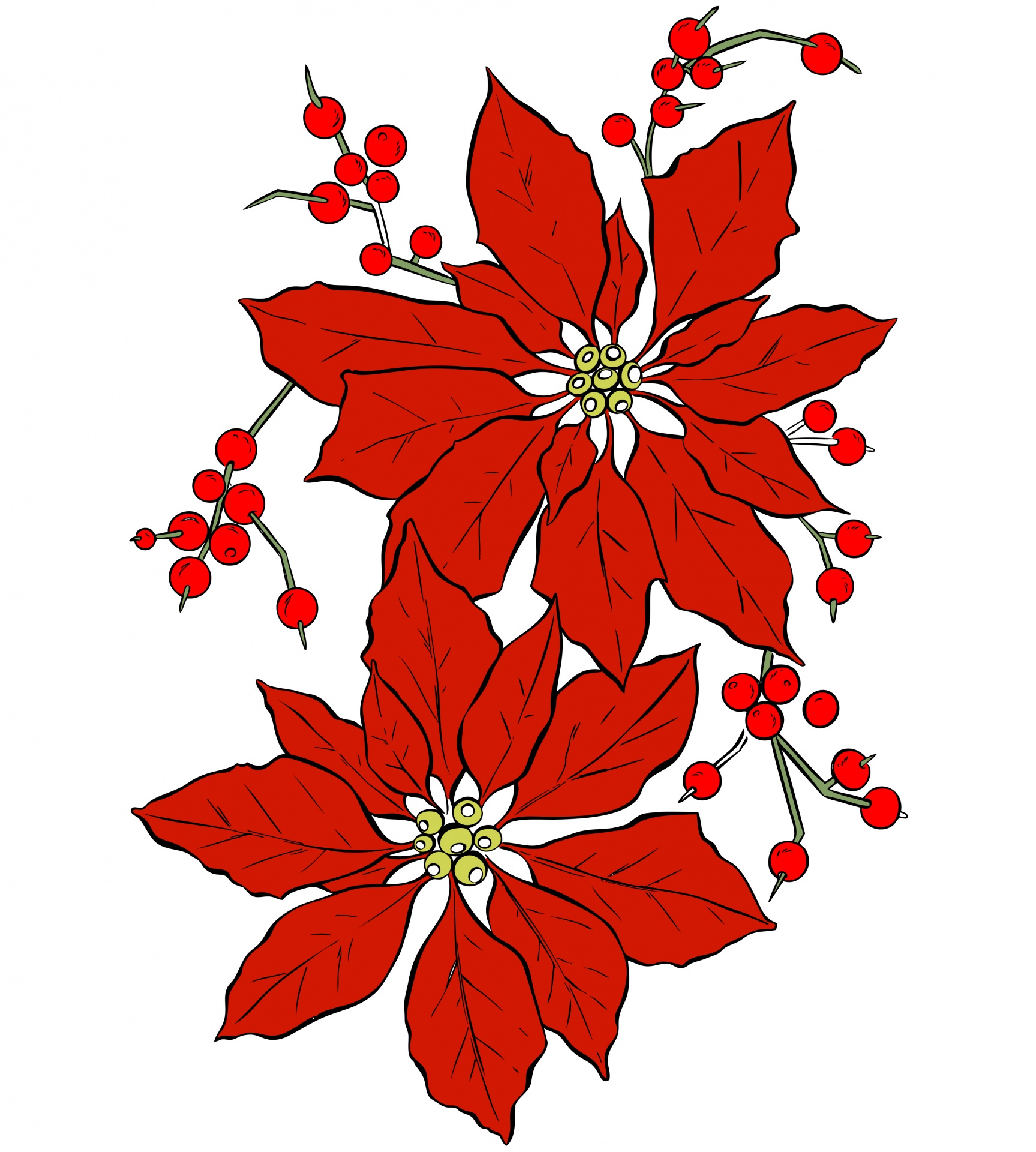 1727x1920 Poinsettia Flower For Christmas Free Stock Photo
