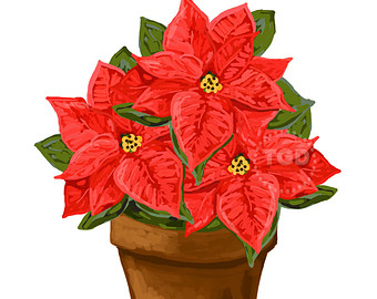 340x270 Pot Plant Clipart Poinsettia Plant