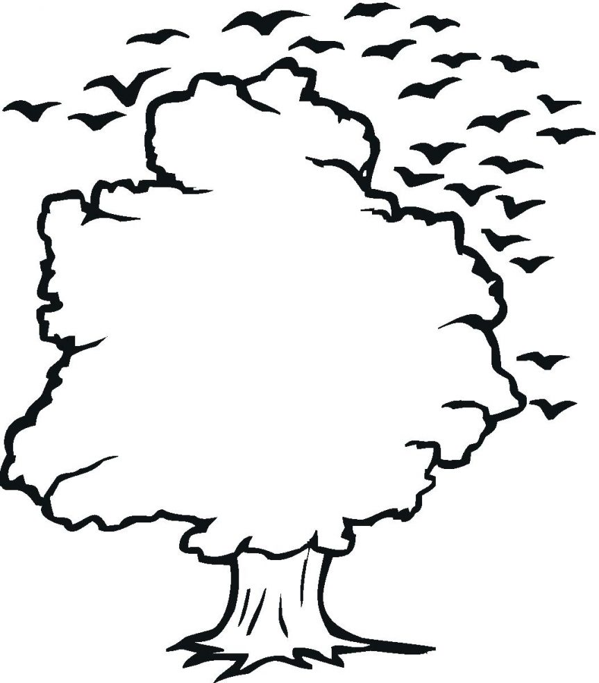 863x983 Outline Of A Tree Library Simple Clip Art Bare Family Simple Xmas