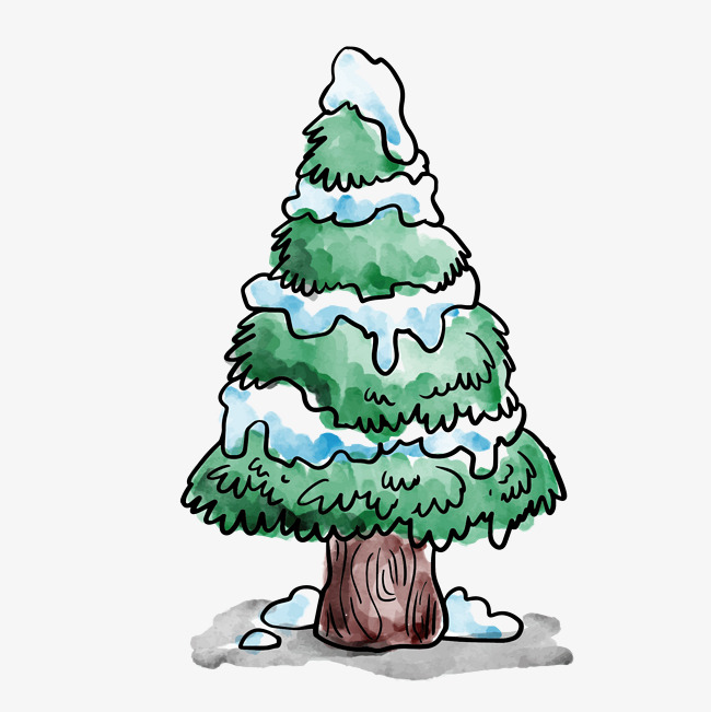650x651 Hand Painted Christmas Tree, Christmas Trees, Leaf, Botany Png