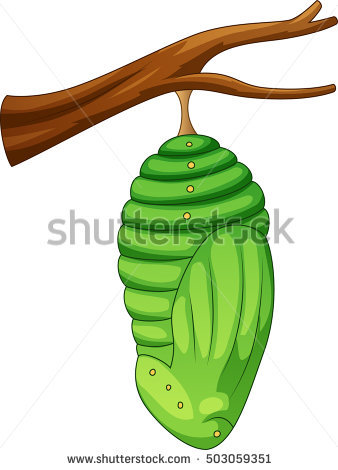 338x470 Butterfly And Cacoon Clipart