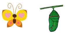 224x121 Chrysalis Clipart Bee Clip Art