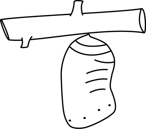 500x440 Caterpillar Clipart Chrysalis