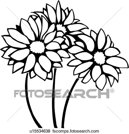 450x465 Clip Art Of Chrysanthemums U15534638