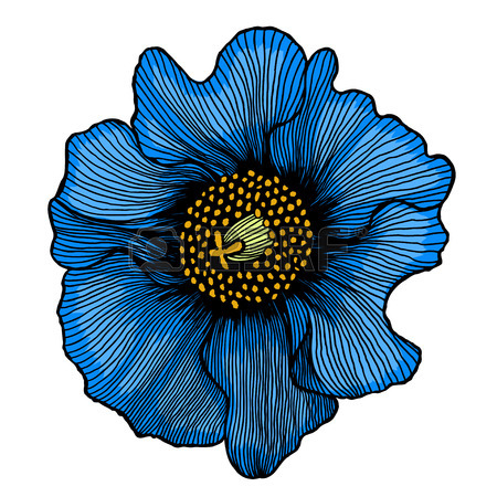 450x450 Icons For Chrysanthemums Icons