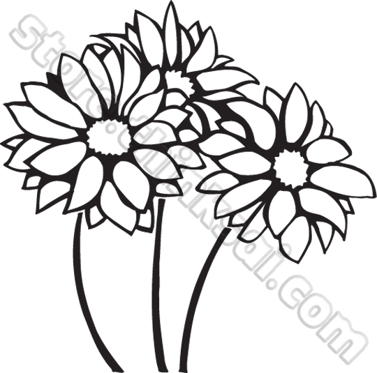 540x535 Sai Store Sai Clip Art