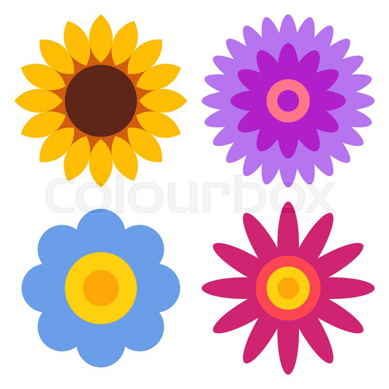 800x800 Salad Chrysanthemum Clipart